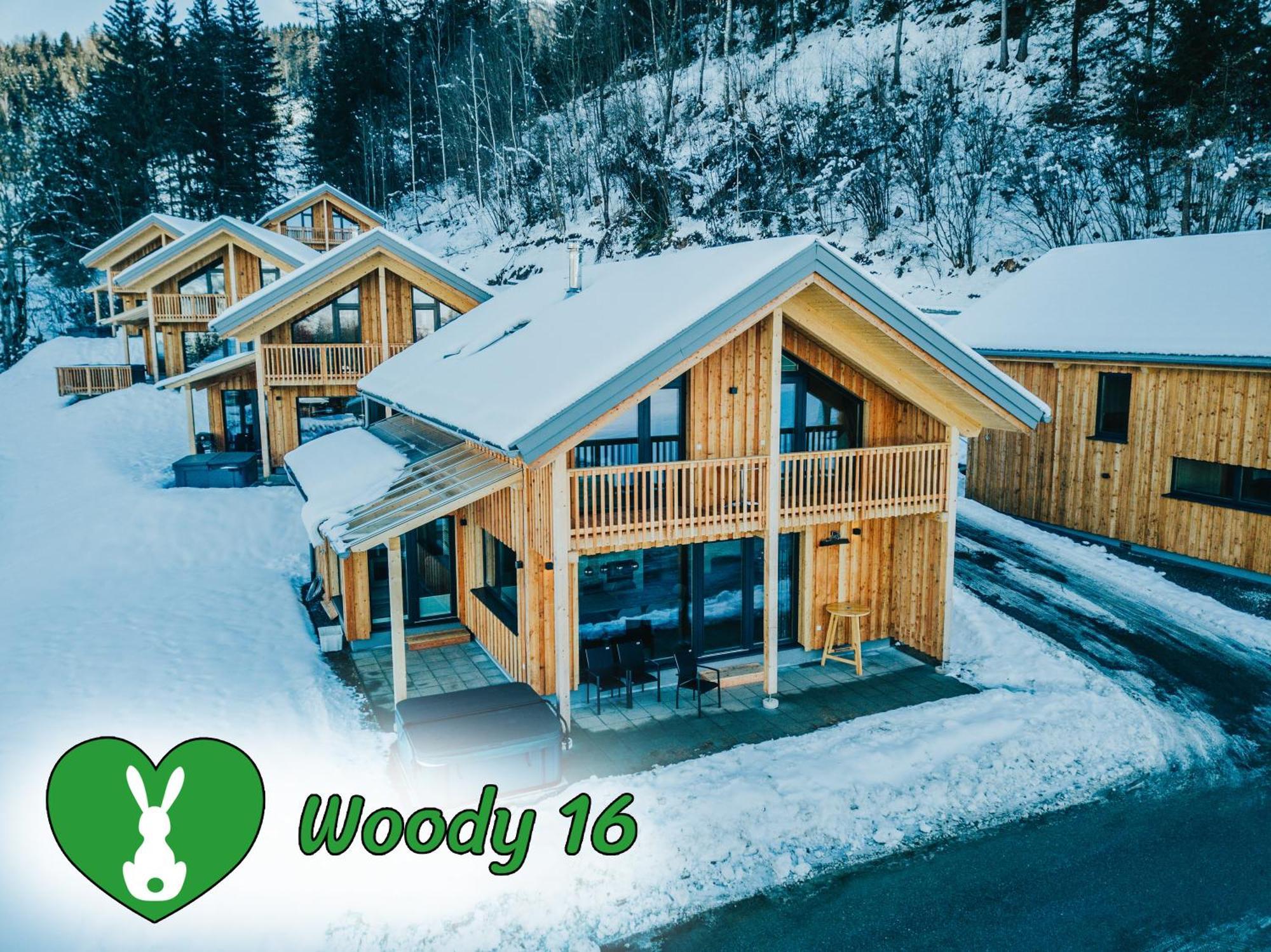 Woody Park Villa Sankt Georgen ob Murau Exterior photo