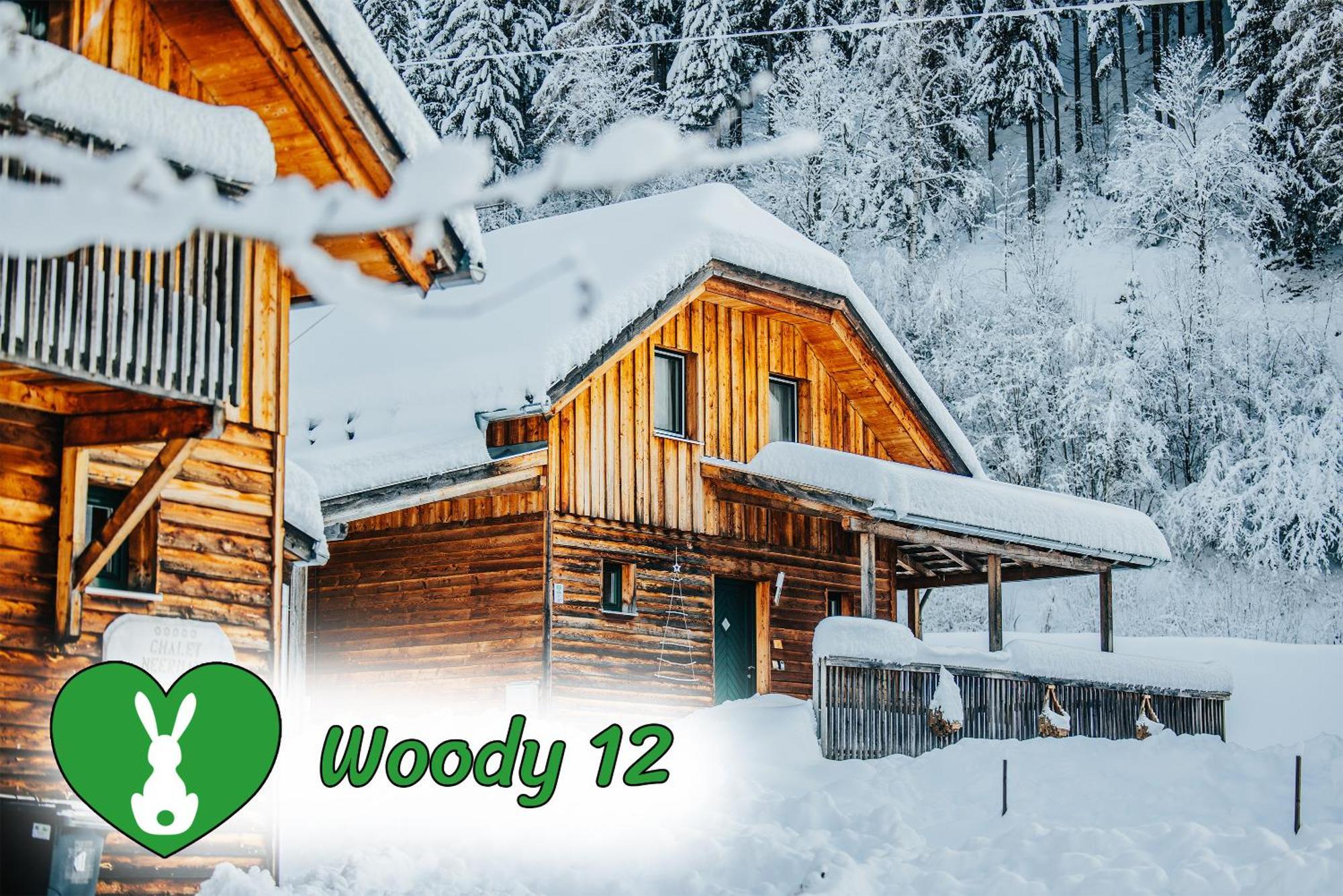 Woody Park Villa Sankt Georgen ob Murau Exterior photo